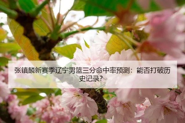 张镇麟新赛季辽宁男篮三分命中率预测：能否打破历史记录？